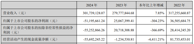 *ST声迅2024年年度报告