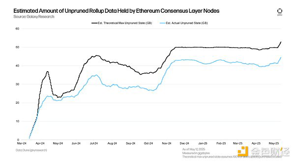 Unpruned Rollup Data