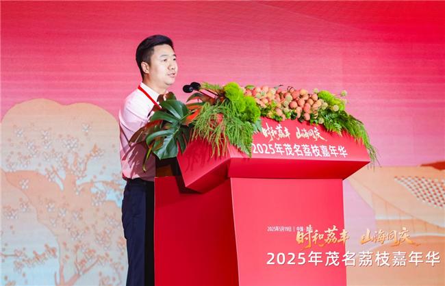 顺丰集团副总裁、特色经济项目部总经理 谭靖华
