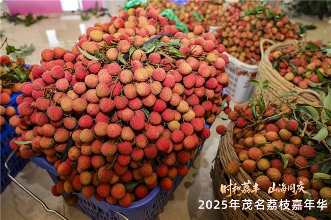 大会现场