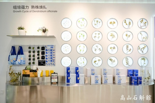 植物醫生高山石斛館 石斛標本展示
