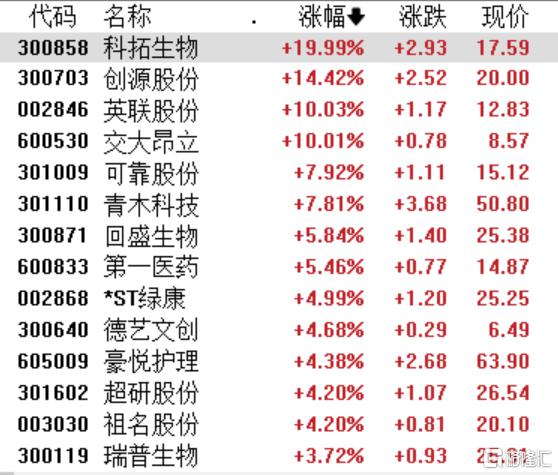 宠物经济概念